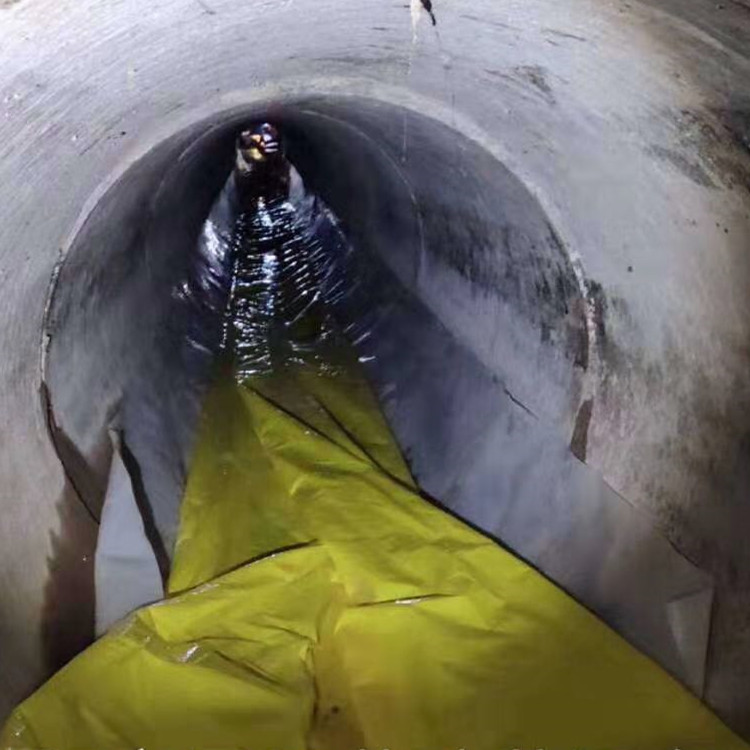 南丰镇管道光固化修复